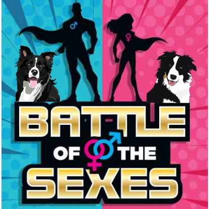 Battle of the Sexes!